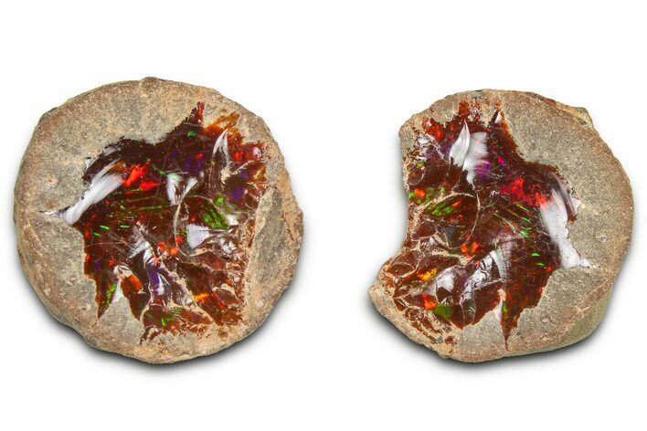 Ethiopian Chocolate Opal Nodule (Pair) - Yita Ridge #369080